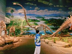 -自贡恐龙博物馆