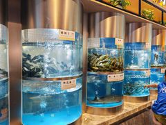 -老船舫·现做活鲜鱼馆(东郊记忆店)