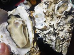 蚝baby-蚝魁竹笼蒸生蚝 余杭店