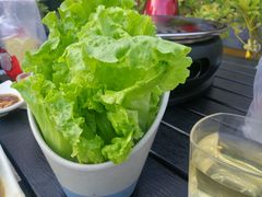 生菜-探牛东北烧烤·铁锅炖大鹅(深圳总店)