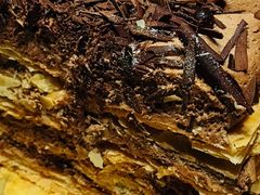 -M'CAKE(西单大悦城店)