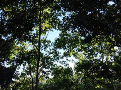 -磐安舞龙峡景区