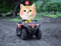 -卡塞拉自然公园