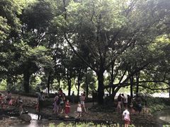 -成都市活水公园