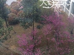 -苏州工学院(东南校区)