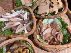 -滇野云南野生菌餐厅(陕西南路店)
