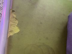 -黄山北站