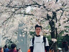 -武汉大学-樱园