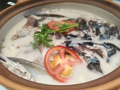 -全乐鱼馆·淳牌有机鱼直营店