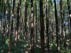 -山王坪喀斯特国家生态公园