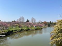 -上海海湾国家森林公园