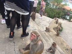 -广州市流溪河国家森林公园