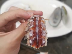 -蚝专家(北滘店)