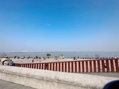 -上海滨江森林公园