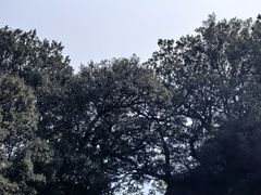 -窦圌山风景区