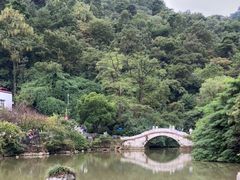 -黔灵山公园