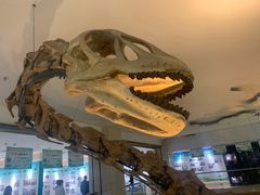 -甘肃地质博物馆