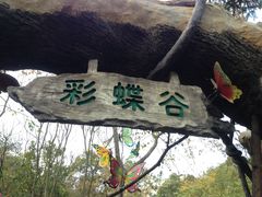景点-天目湖山水园