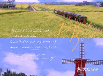 重庆｜小清新油菜花田回到快乐潼南时光