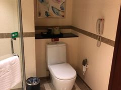 -雅安楠水阁温泉酒店