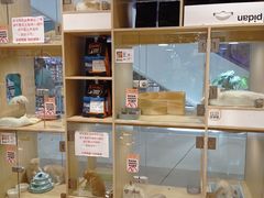-屋虎猫馆(宝安大仟里店)
