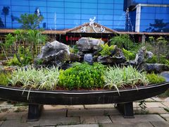 -花溪雨·森林餐厅(石基店)
