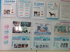 -北京观赏动物医院·24小时大型综合·猫专科·异宠专科