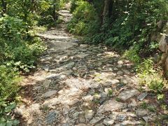 -北京凤凰岭