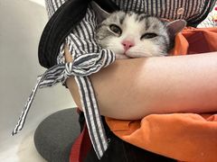 -comecome来吧宠物(奥克斯中心店)