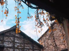 -乌镇景区