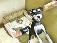 -Double Rui宠物酒店