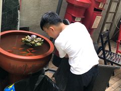 -猫色咖啡·猫咖