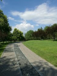 -大望京儿童游乐场