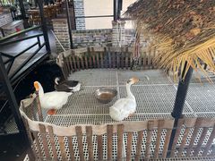 -优之名鹅城
