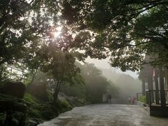 -紫金山山顶公园