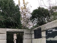 -吴淞炮台湾湿地森林公园烧烤区