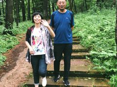 -五营红松林海景区