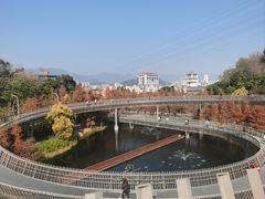-福道