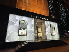 -BLACKSWAN黑天鹅(环球店)