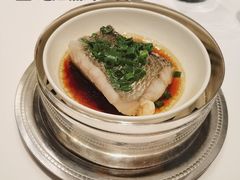-福1015(愚园路店)