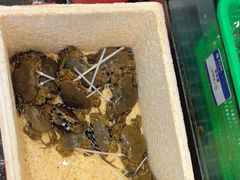 -鹰龙海畔度假酒店(咸祥店)