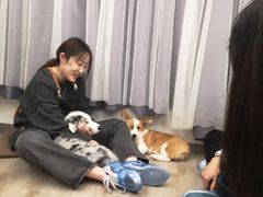 -浣熊柯尔鸭土拨鼠·电玩咖