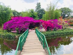 -云南民族村