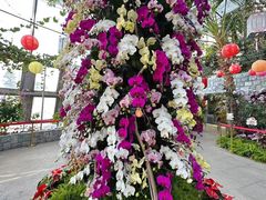 -北京植物园-展览温室