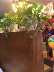 -红人馆造型世爵国际