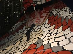 -亚马逊丛林水乐园