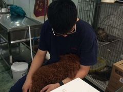 伟伟宠物医院-伟伟宠物医院·CT影像中心·瑞派犬猫综合性门诊(汉口总院)