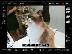 -灯塔咖啡馆BOOK·Coffee Shop