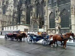 -斯蒂芬主教座堂(Stephansdom)