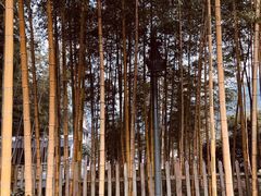 -黄公望隐居地